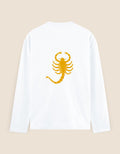 Back_2_c_1.jpg